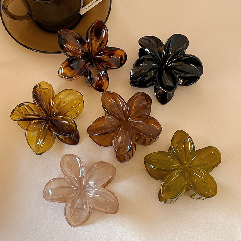Women's Large-Size 8cm Brown B - Hair Clip Claw Large ulasan dan harga