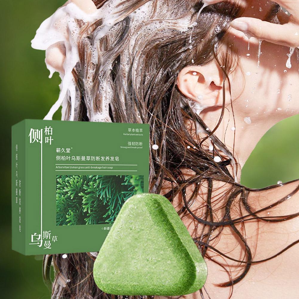 Platycladus Orientalis Leaf Sh - Hair Care Herbal Products ulasan dan harga