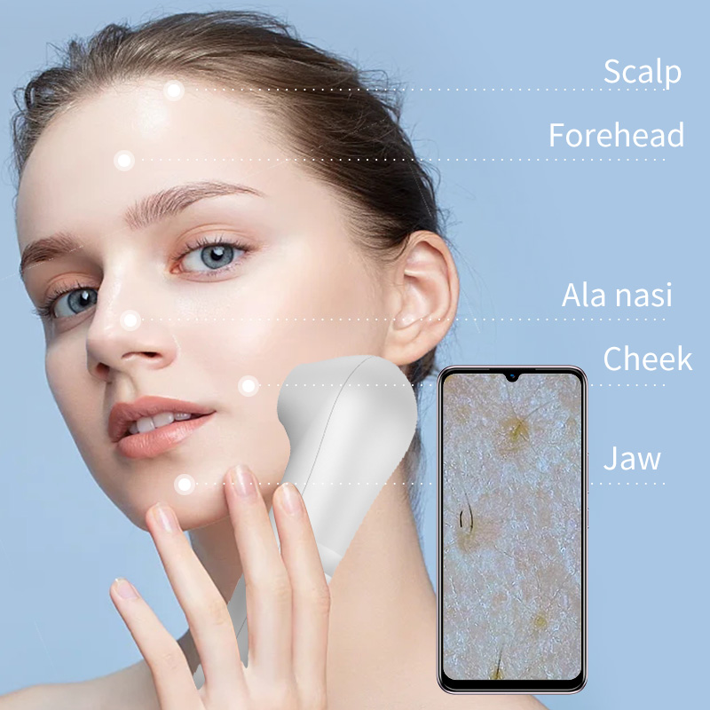 2025 HD Scalp/Skin /Hair Folli - Hair Porosity Test ulasan dan harga