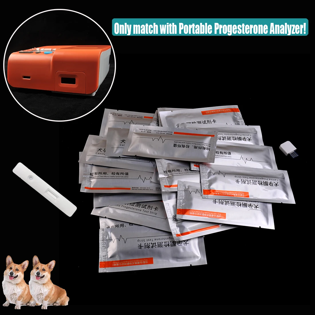 Canine Progesterone Test Strip - Hair Porosity Test ulasan dan harga